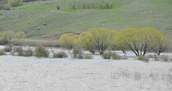 Kars’ta ağaçlar baraj suları altında kaldı