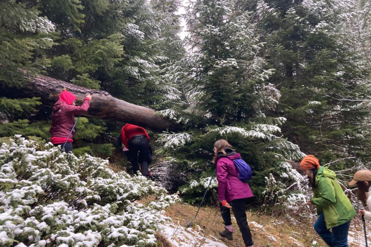 Kar yağışını fırsat bilen doğaseverler yaylada kamp yaptı