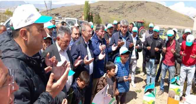 Develi Bölgesinde Şeker Pancarı Tohumları Toprakla Buluşmaya Başladı