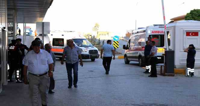 Arı sokmasına bağlı ciddi alerjik reaksiyonlar ölüme sebep olabilir