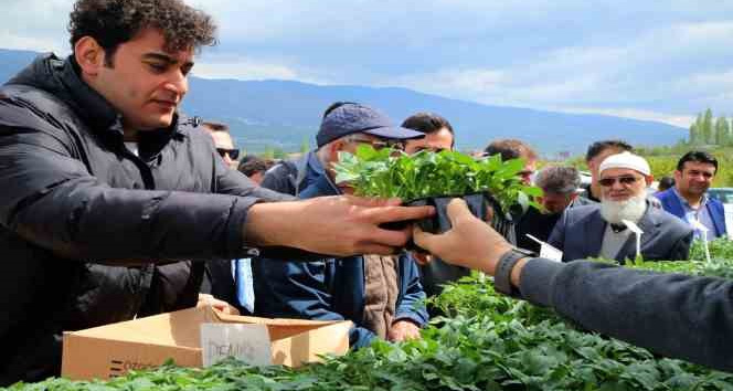 Akademik fidelerin satışı başlatıldı