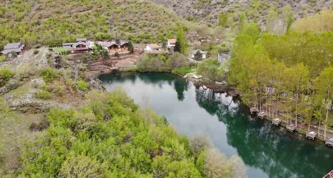 Doğal güzelliği ile dikkat çeken Harami Yaylası ziyaretçilerini bekliyor