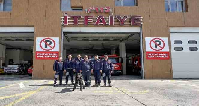 Kayalıklarda mahsur kalan köpeğin yardımına itfaiye ekipleri yetişti
