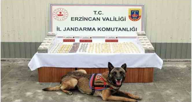 Erzincan’da jandarma ekiplerince 11 faili meçhul olayın 10’u aydınlatıldı