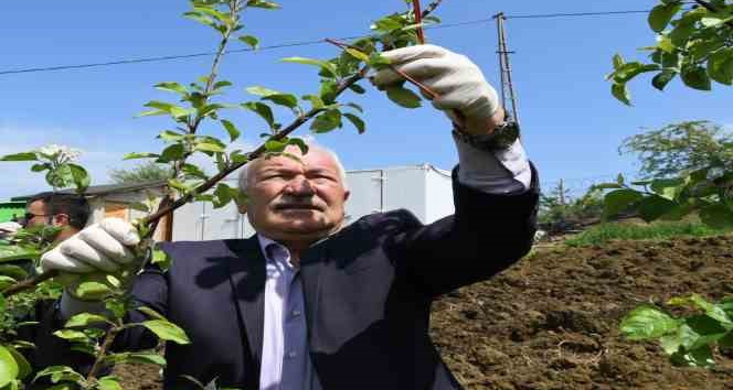 Lapseki’de Tarla Günü programı gerçekleşti