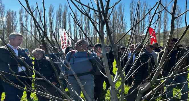 Çiftçilere budama eğitimi