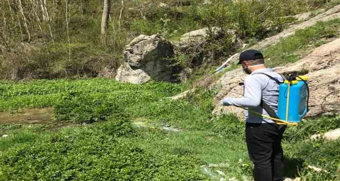 Hakkari’de sineklere karşı ilaçlama çalışmaları