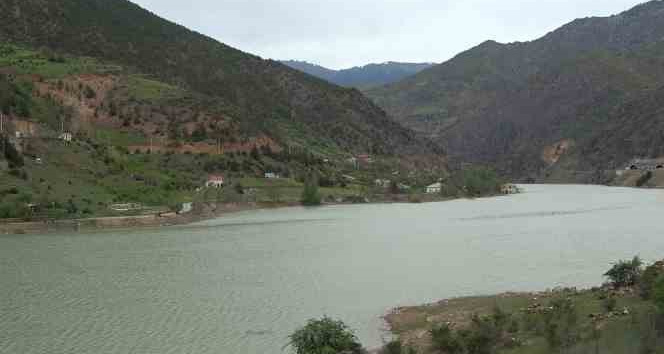 Kış mevsiminde çöle dönen Torul Baraj Gölü’nde su seviyesi normale döndü
