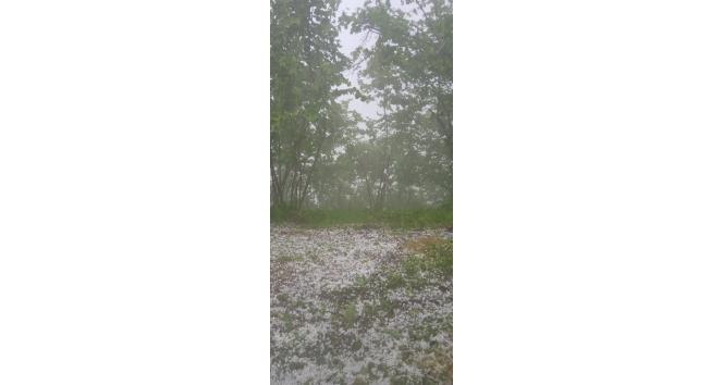 Giresun’un yüksek kesimlerinde Mayıs dolusu şaşırttı