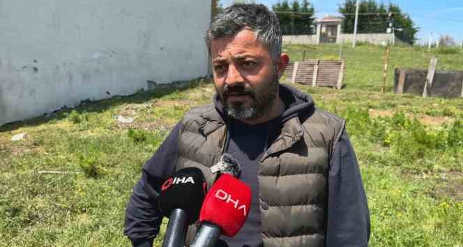 Sokak köpeklerinin saldırdığı 14 kurbanlık telef oldu