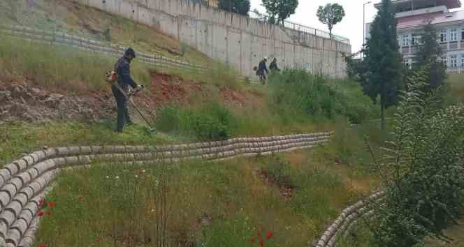 Dulkadiroğlu’nda çevre temizliği