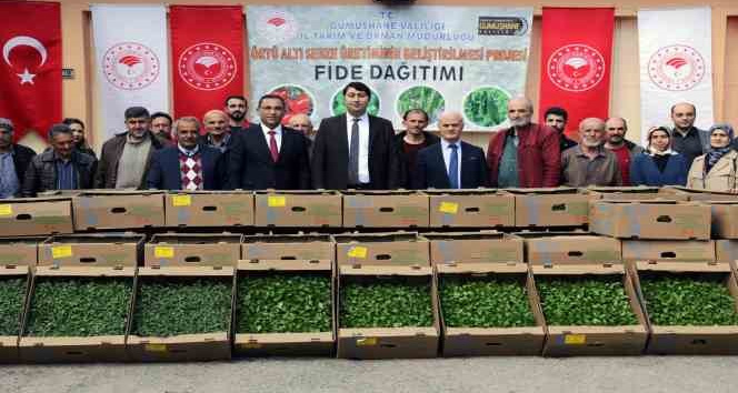 Gümüşhane’den 195 bin sebze fidesi toprakla buluşacak