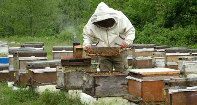 Ordulu arıcılar sezonu açtı