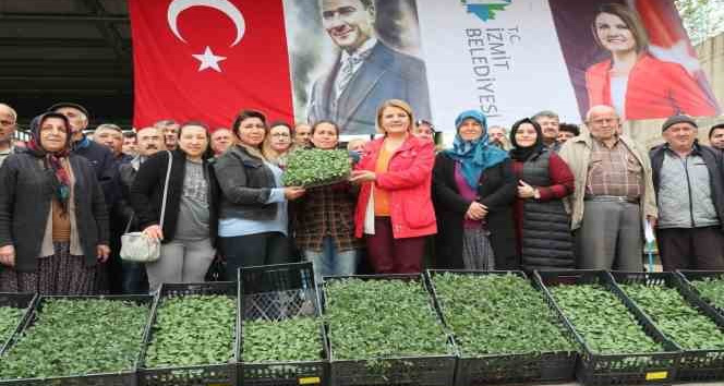 Çiftçinin fidesi İzmit Belediyesinden