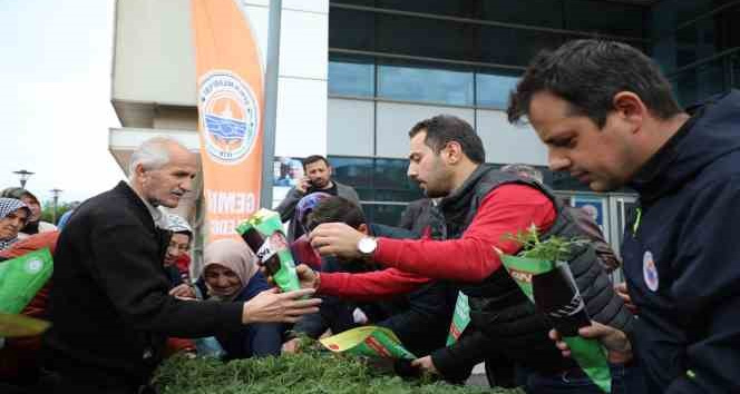Gemlik Belediyesi’nden organik tarıma destek