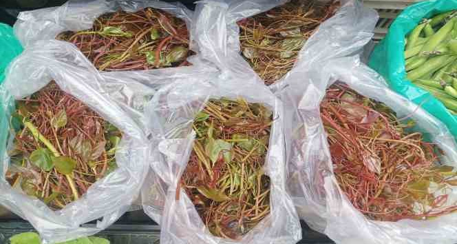 Dikenle gelen lezzet