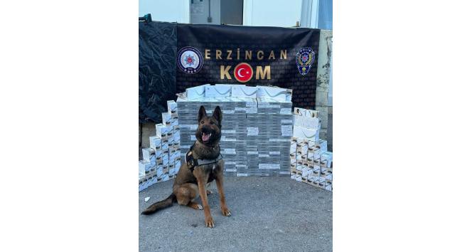 Yolcu otobüsünde 3 bin 400 paket kaçak sigara ele geçirildi