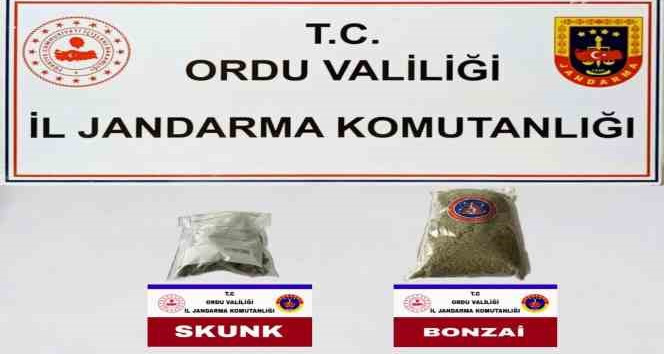 Ordu’da uyuşturucu operasyonu: 2 gözaltı