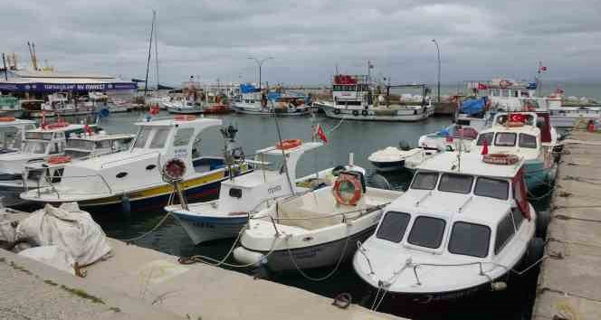 Karabiga’da jumbo karides av sezonu 15 Mayıs’ta başlıyor