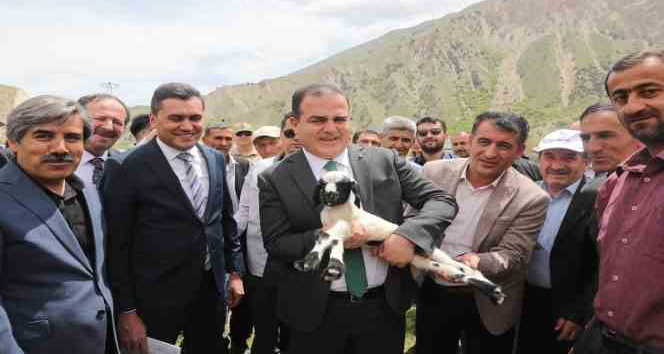 Hakkari’de 200 besiciye 4 bin küçükbaş hayvan dağıtımına başlandı