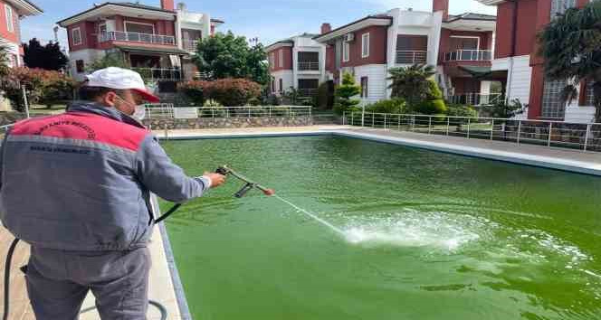 Sinek ve haşeresiz yaz için ilaçlama çalışmaları hız kazandı