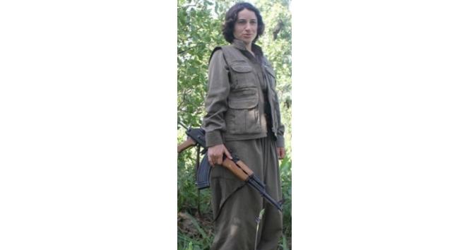 Siirt’te PKK/KCK terör örgütü mensubu adına oy kullanan şahıs yakalandı