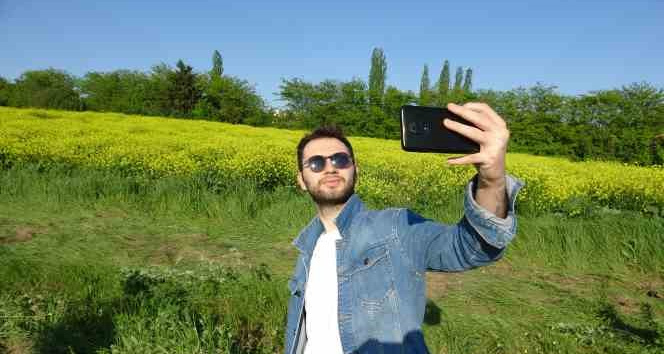Tarla adeta sarıya boyandı, görsel şölen oluşturdu