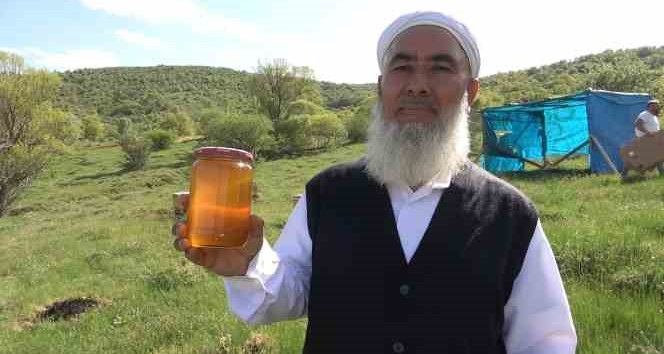 Arıcıların yeni gelir kapısı organik bal: Kilogramı 400 lira