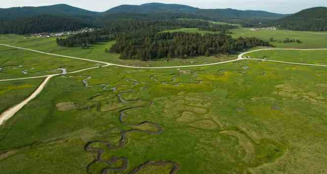 Bolu’nun her mevsim ayrı güzel yaylası: Sarıalan
