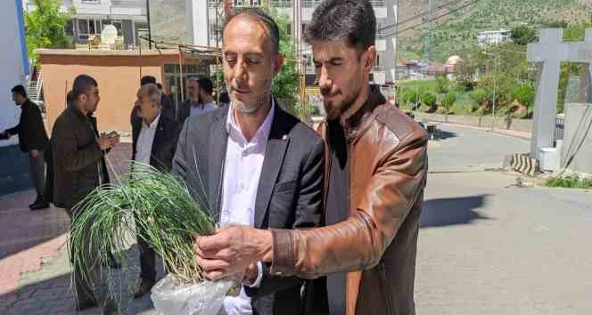 Vatandaşlar zuzubak otunun coğrafi işaretle tescillenmesini istiyor
