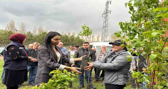 Ardahan’da arı yetiştiricilerine fidan verildi