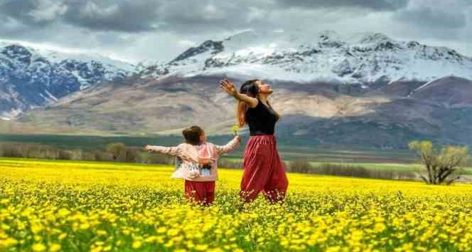 Hardal çiçekleri Tunceli’yi sarıya boyadı, ortaya eşsiz manzaralar çıktı