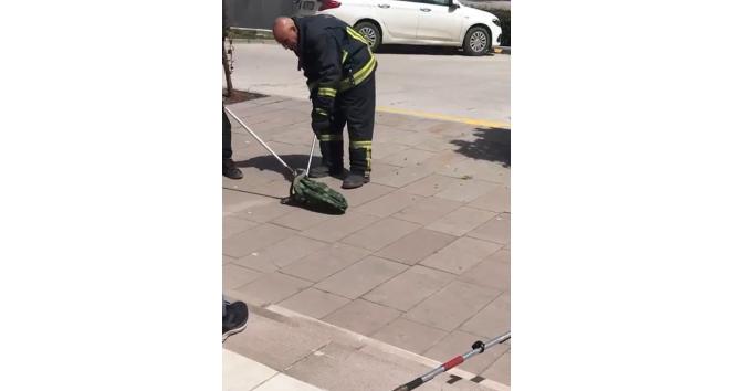 Yalova’da alışveriş merkezi önünde 1 metrelik yılan yakalandı