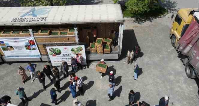 Erzincanlı çiftçilere 1 milyon fide dağıtıldı