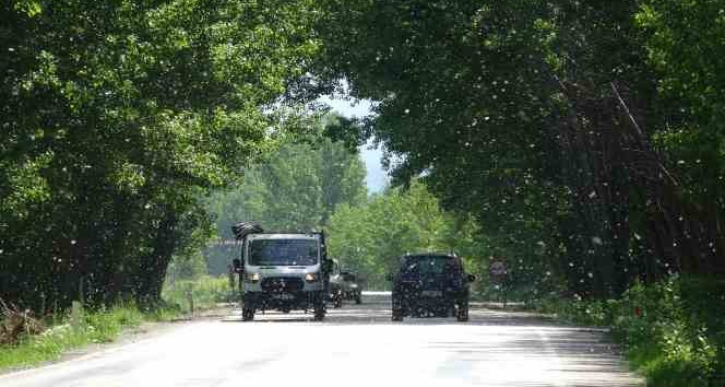 Doğal güzelliyle mest eden yol, sürücüler için tehlike saçıyor