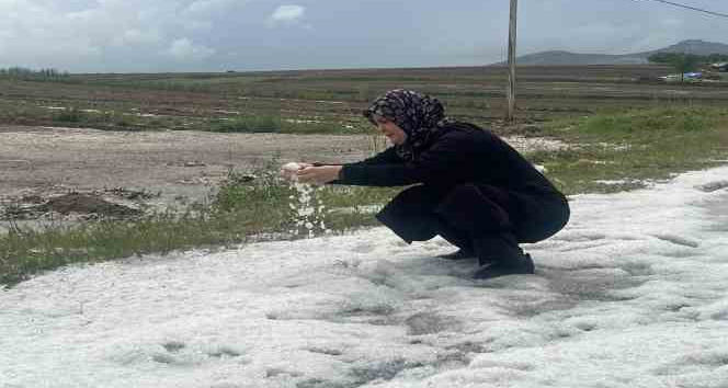 Nevşehir’de 30 bin dekar ekili arazi doludan zarar gördü
