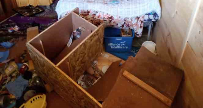 Aç kalan ayılar yayla evlerini talan etti