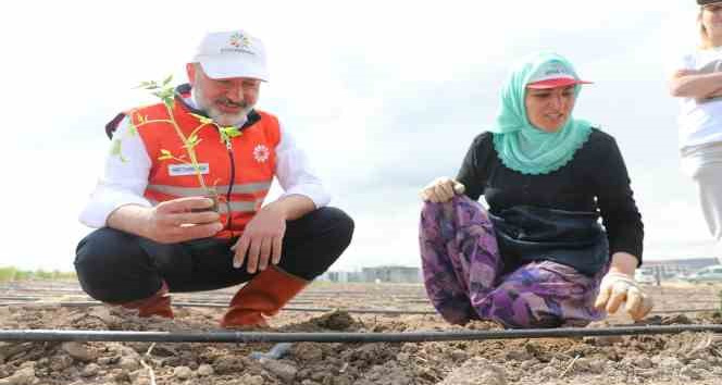 Başkan Çolakbayrakdar; “Kocasinan, şehrin merkezinde tarımsal üretimle Türkiye’ye örnek olacak”