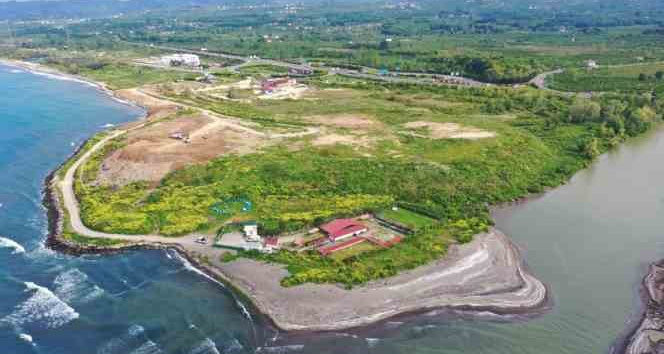 Çöp alanı meyve bahçesi oluyor