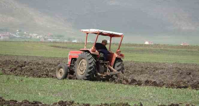Ardahan’da buğday ve arpa ekimi başladı
