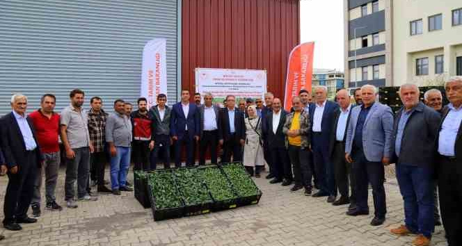 Bingöl’de yüzde 75 hibe ile 630 bin sebze fidesi dağıtıldı