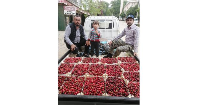 Bursa’da kiraz hasadı başladı