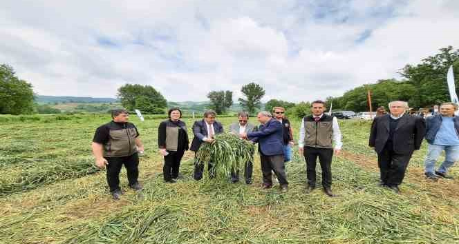 Çan’da Dörtlü Karışım Yem Bitkisi Projesinin hasadı başladı