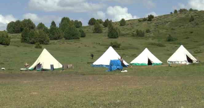 Tunceli Valiliği’nden sürü sahipleri ve arıcılara duyuru