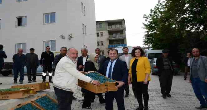 Hakkari’de çiftçilere karpuz ve domates fidesi dağıtıldı