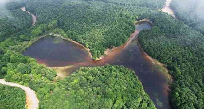 Karlık Yaylası’nda doğa görsel şölen sunuyor