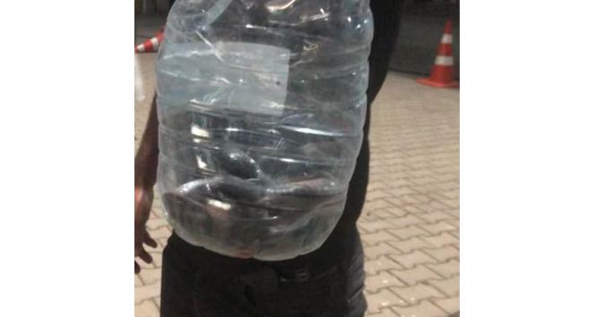 Çadırlar arasında görülen yılan paniğe neden oldu