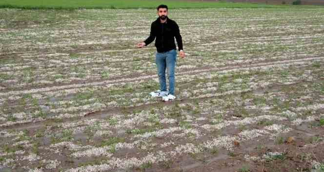 Yozgat’ta dolu tarım arazilerine zarar verdi