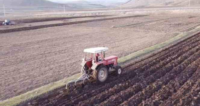 Ardahan’da buğday ve arpa ekimi başladı