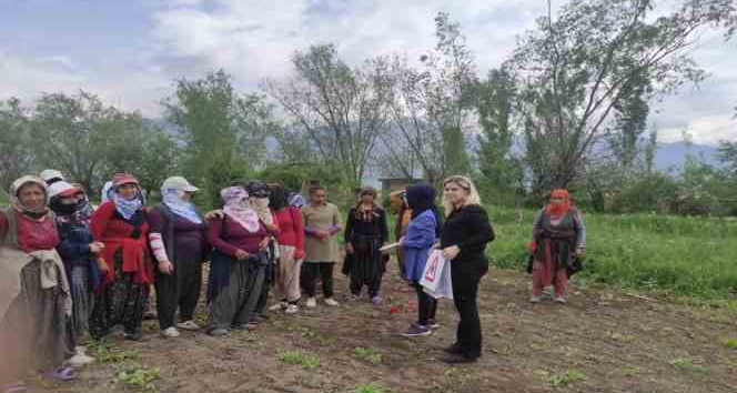 Doğada bulunurken kene popülâsyonuna dikkat!